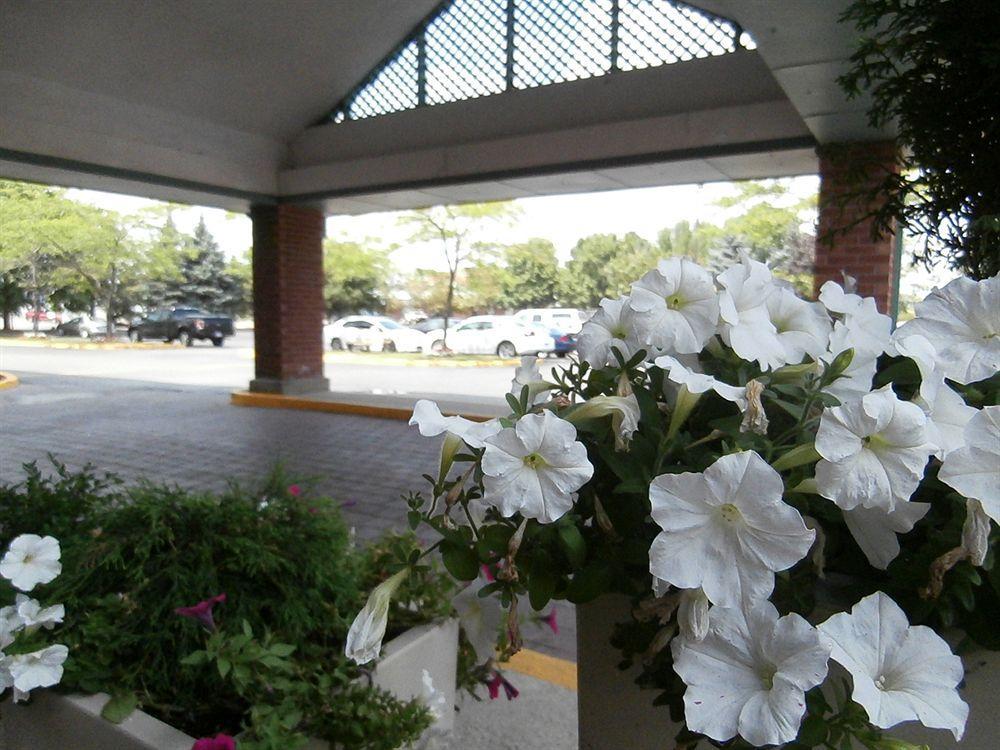 Holiday Inn Express Hamilton-Stoney Creek ภายนอก รูปภาพ